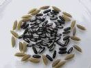 Black Glutinous Rice Pigment
